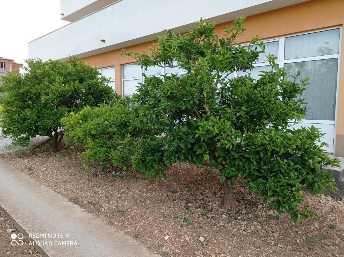 Studio Apartment With Balcony Trogir Exteriör bild